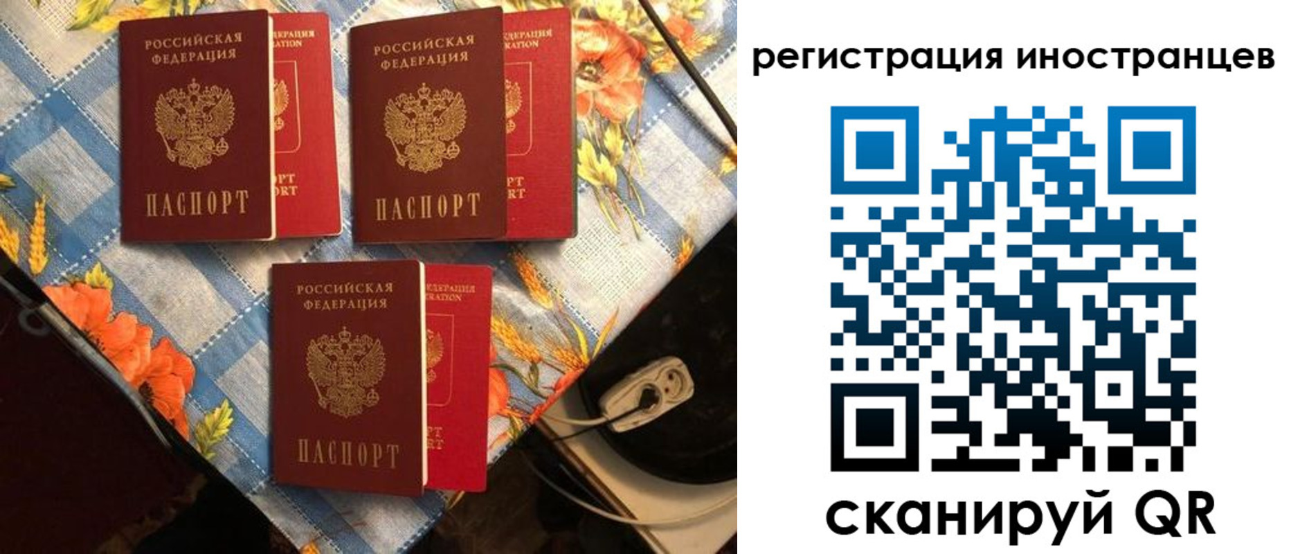 прописка поиск в Куровском